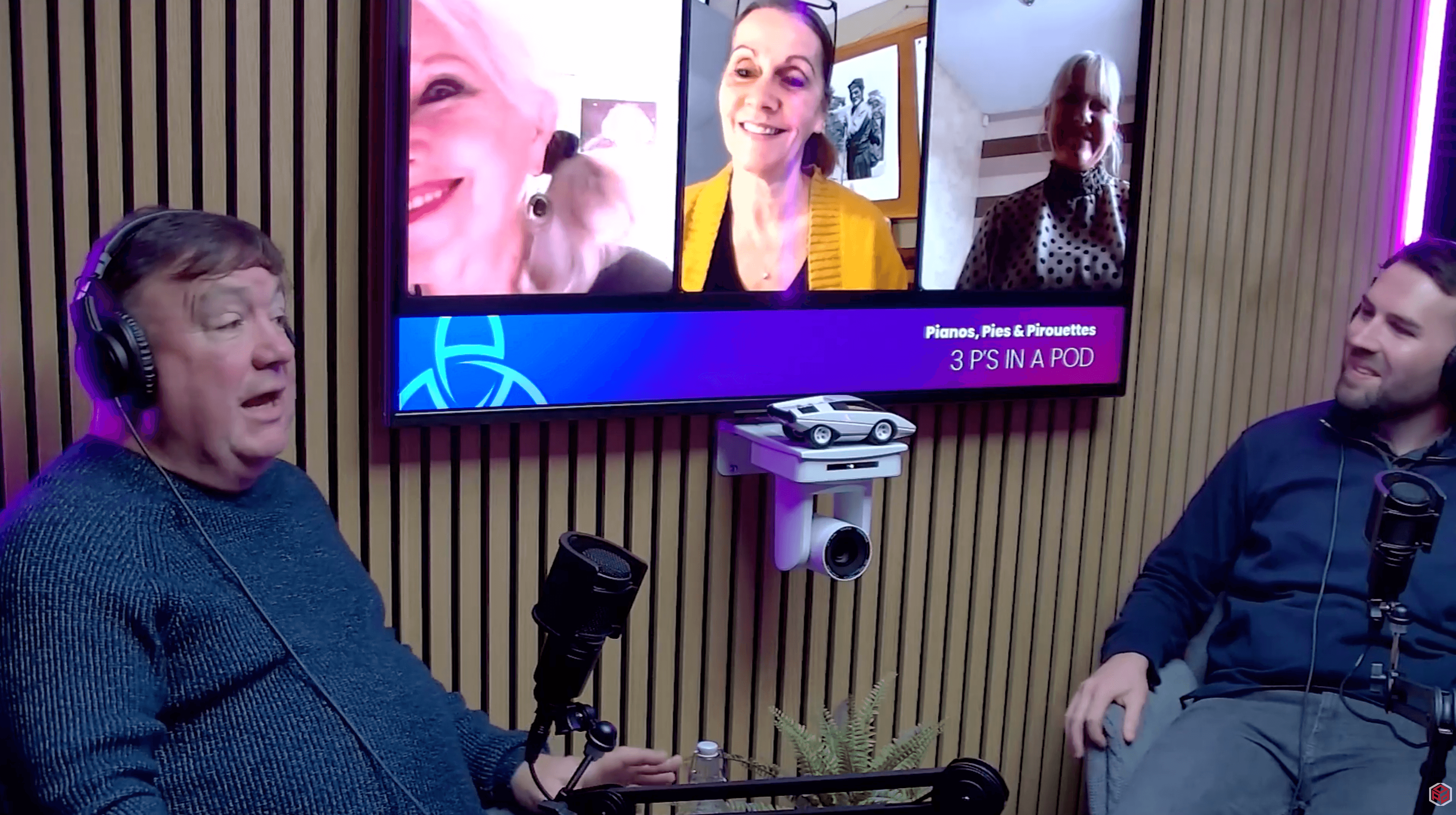 PPP podcast — episode 1 — still 2